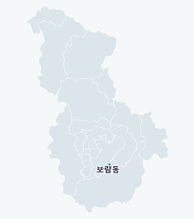 세종특별자치시 보람동 위치 — 세종특별자치시 행정동 경계 지도