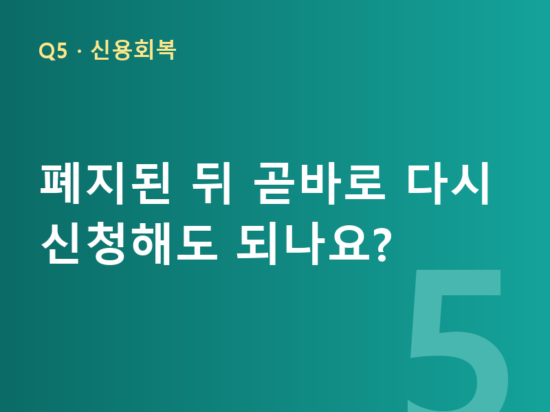 폐지된 뒤 곧바로 다시 신청해도 되나요?